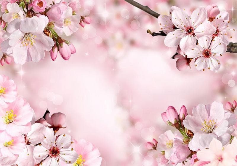 Fotomurale Spring Cherry Blossom in Carta da parati Collezione Casa - Trebisacce, commercioVirtuoso.it