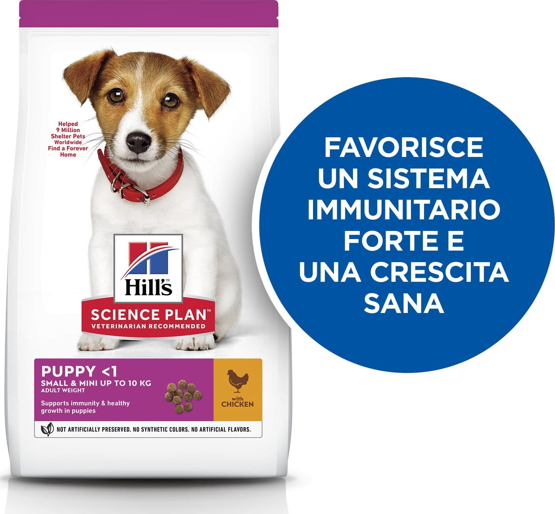 Hill's Mantenimento Secco Cani Puppy Mini pollo 1,5 kg in Secco 101 Market - Poggibonsi, commercioVirtuoso.it
