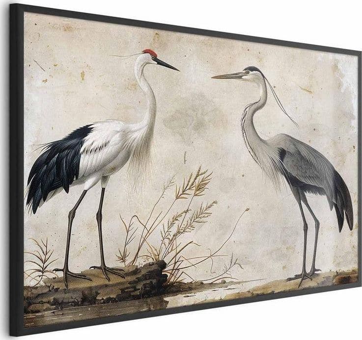 Poster - Birds from an Old Engraving - vintage-style illustration of a heron and a crane in Poster e stampe Collezione Casa - Trebisacce, commercioVirtuoso.it