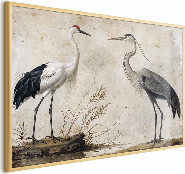 Poster - Birds from an Old Engraving - vintage-style illustration of a heron and a crane in Poster e stampe Collezione Casa - Trebisacce, commercioVirtuoso.it