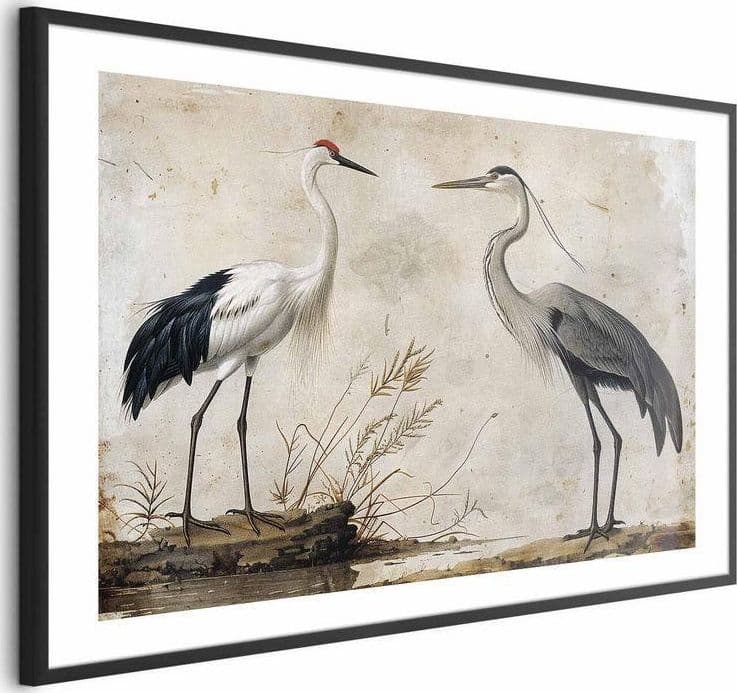 Poster - Birds from an Old Engraving - vintage-style illustration of a heron and a crane in Poster e stampe Collezione Casa - Trebisacce, commercioVirtuoso.it