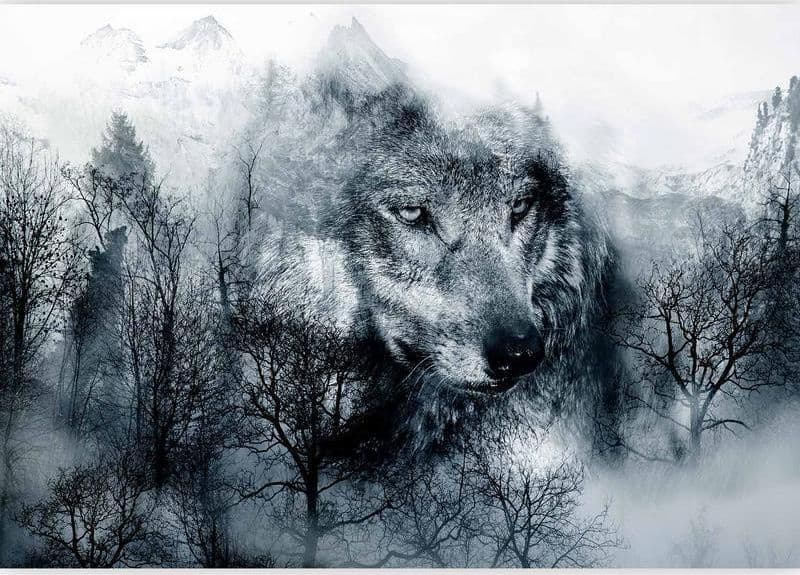 Fotomurale Mountain Predator (Black and White) in Carta da parati Collezione Casa - Trebisacce, commercioVirtuoso.it