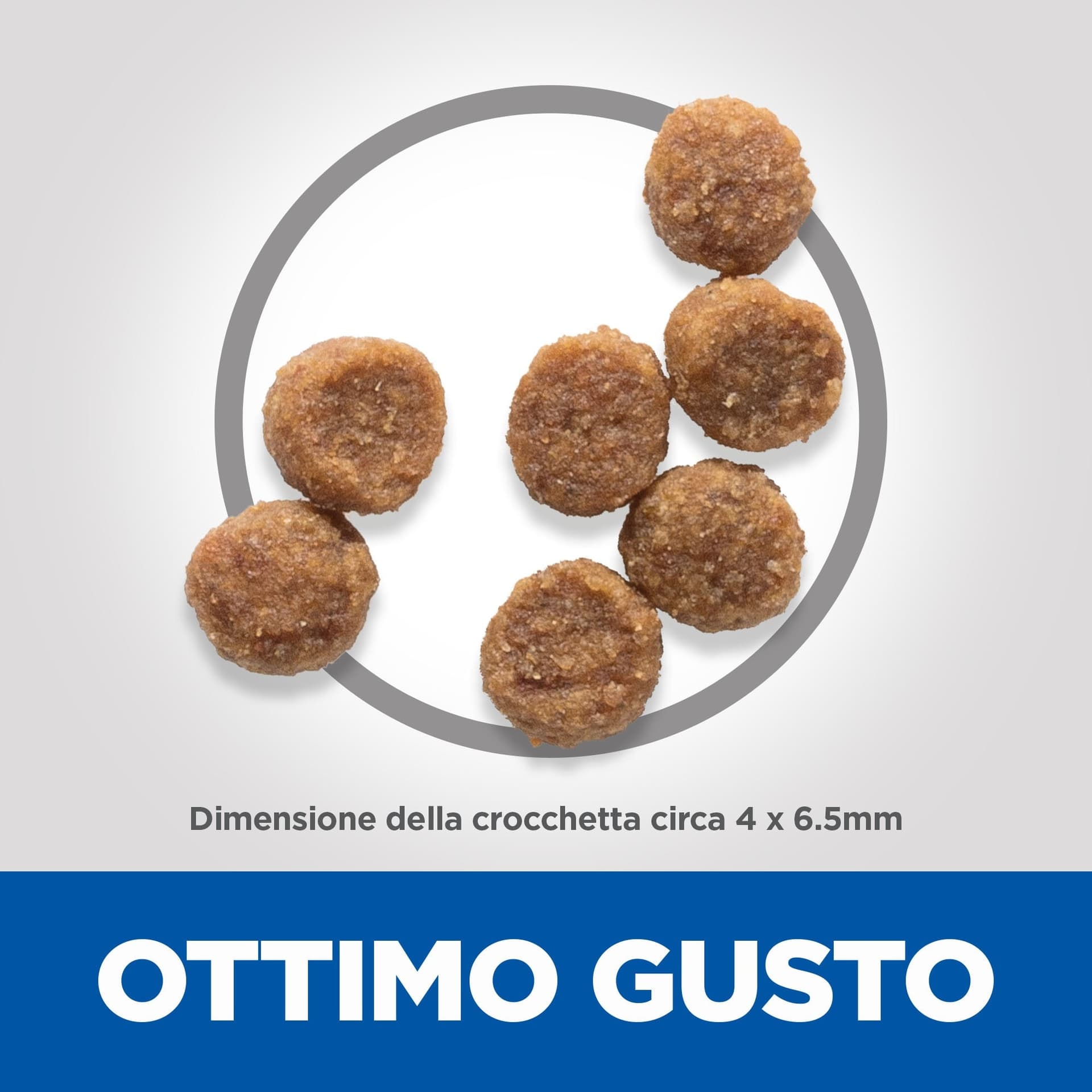 Hill's Mantenimento Secco Cani Puppy Mini pollo 1,5 kg in Secco 101 Market - Poggibonsi, commercioVirtuoso.it