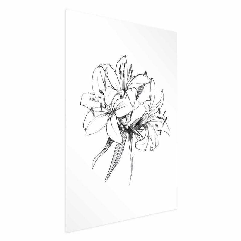 Poster - Drawn Flowers in Poster e stampe Collezione Casa - Trebisacce, commercioVirtuoso.it