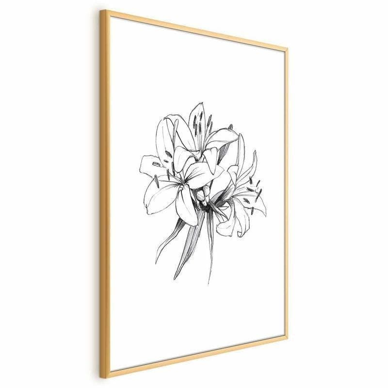 Poster - Drawn Flowers in Poster e stampe Collezione Casa - Trebisacce, commercioVirtuoso.it