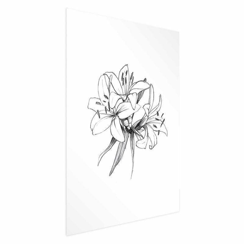 Poster - Drawn Flowers in Poster e stampe Collezione Casa - Trebisacce, commercioVirtuoso.it
