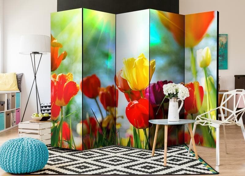 Paravento Spring Tulips II [divisori da interno] in Paraventi Collezione Casa - Trebisacce, commercioVirtuoso.it