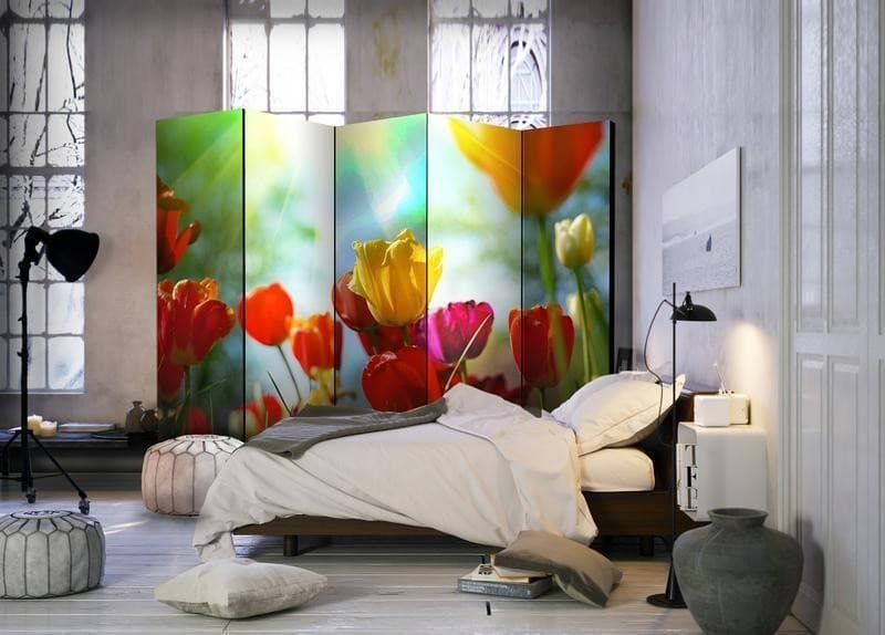 Paravento Spring Tulips II [divisori da interno] in Paraventi Collezione Casa - Trebisacce, commercioVirtuoso.it