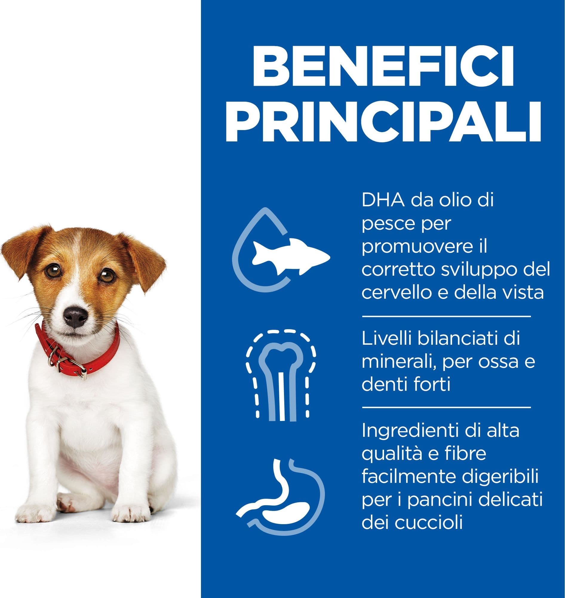 Hill's Mantenimento Secco Cani Puppy Mini pollo 1,5 kg in Secco 101 Market - Poggibonsi, commercioVirtuoso.it