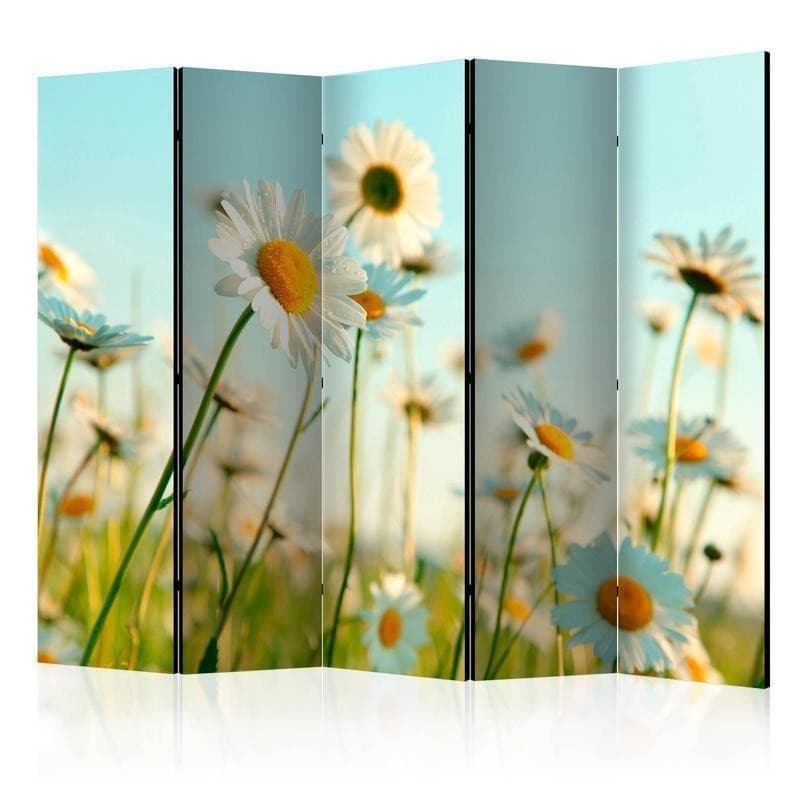 Paravento Daisies spring meadow II [Room Dividers] in Paraventi Collezione Casa - Trebisacce, commercioVirtuoso.it