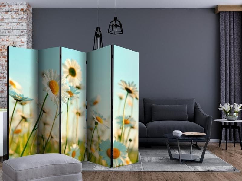 Paravento Daisies spring meadow II [Room Dividers] in Paraventi Collezione Casa - Trebisacce, commercioVirtuoso.it