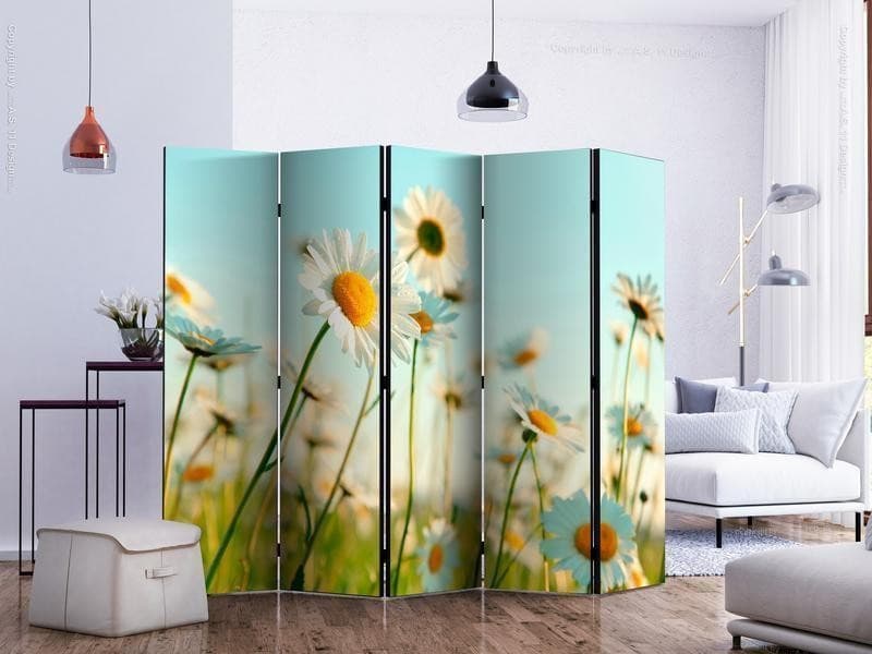Paravento Daisies spring meadow II [Room Dividers] in Paraventi Collezione Casa - Trebisacce, commercioVirtuoso.it