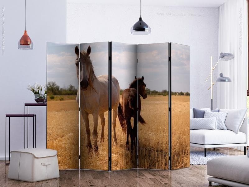 Paravento Horse and foal II [Room Dividers] in Paraventi Collezione Casa - Trebisacce, commercioVirtuoso.it