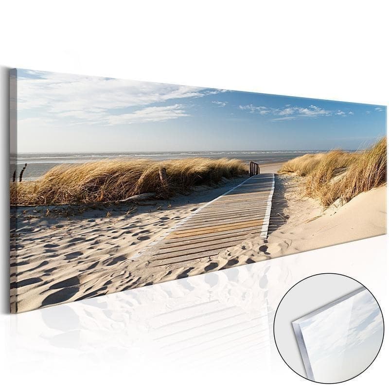 Quadri su vetro acrilico Wild Beach [Glass] in Poster e stampe Collezione Casa - Trebisacce, commercioVirtuoso.it