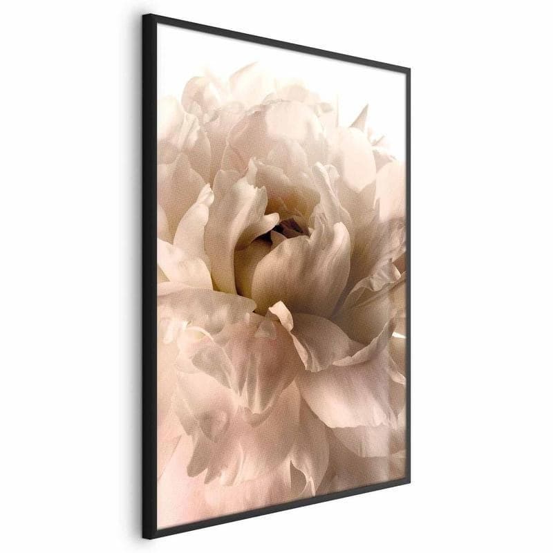Poster - Soft Petals in Poster e stampe Collezione Casa - Trebisacce, commercioVirtuoso.it