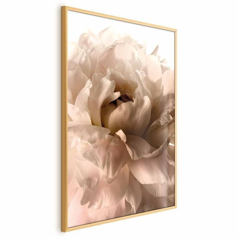 Poster - Soft Petals in Poster e stampe Collezione Casa - Trebisacce, commercioVirtuoso.it