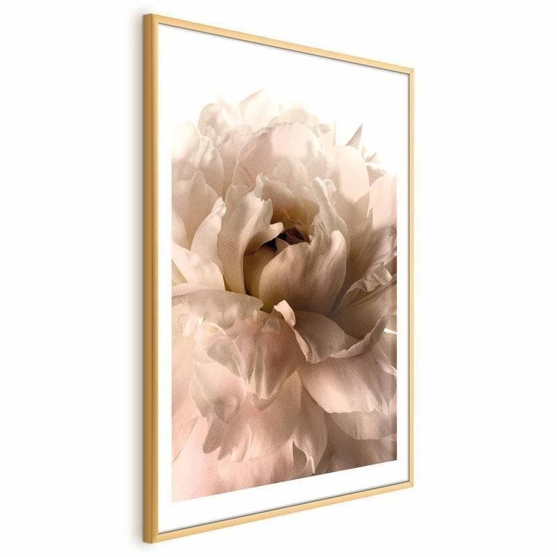 Poster - Soft Petals in Poster e stampe Collezione Casa - Trebisacce, commercioVirtuoso.it