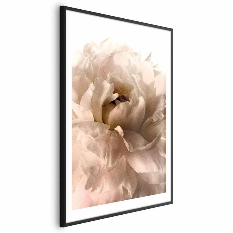 Poster - Soft Petals in Poster e stampe Collezione Casa - Trebisacce, commercioVirtuoso.it