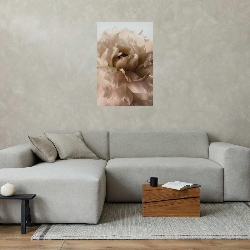 Poster - Soft Petals in Poster e stampe Collezione Casa - Trebisacce, commercioVirtuoso.it