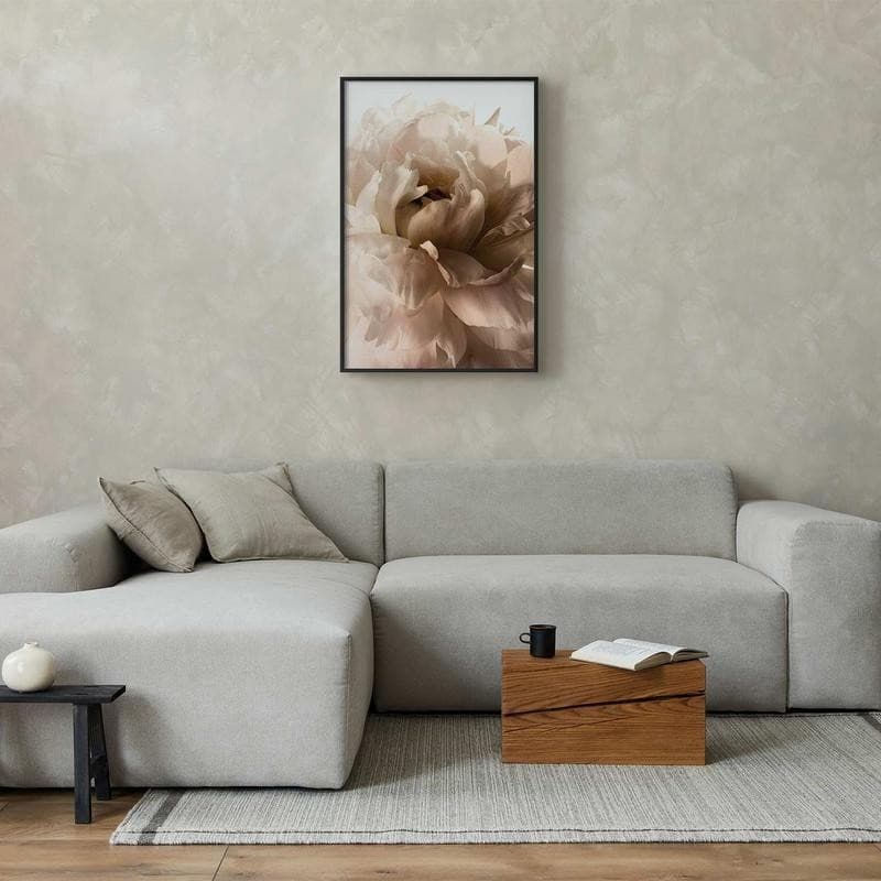 Poster - Soft Petals in Poster e stampe Collezione Casa - Trebisacce, commercioVirtuoso.it