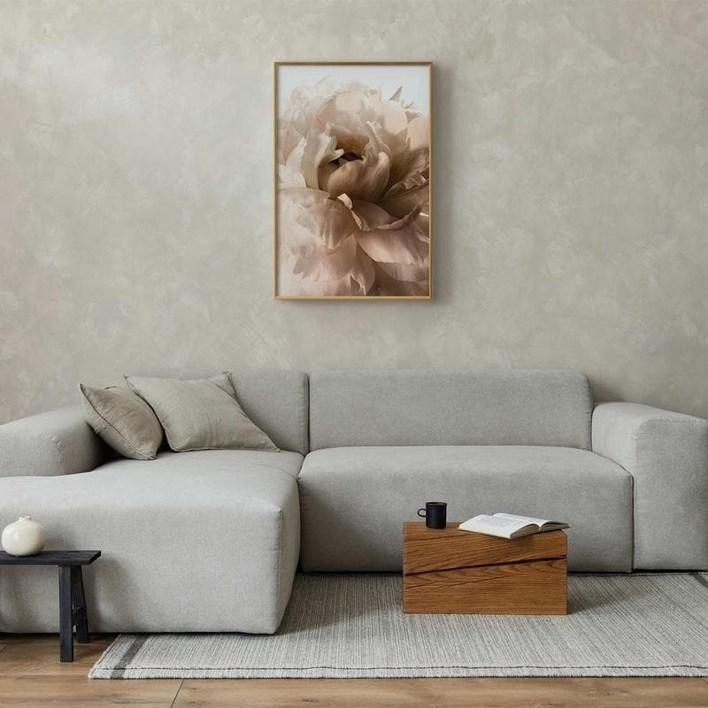 Poster - Soft Petals in Poster e stampe Collezione Casa - Trebisacce, commercioVirtuoso.it