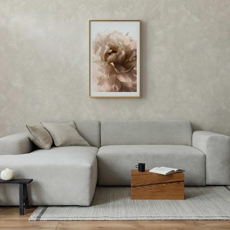 Poster - Soft Petals in Poster e stampe Collezione Casa - Trebisacce, commercioVirtuoso.it