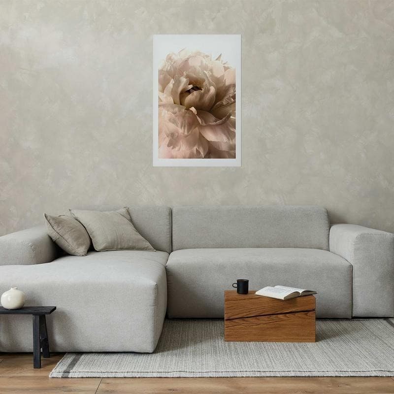 Poster - Soft Petals in Poster e stampe Collezione Casa - Trebisacce, commercioVirtuoso.it
