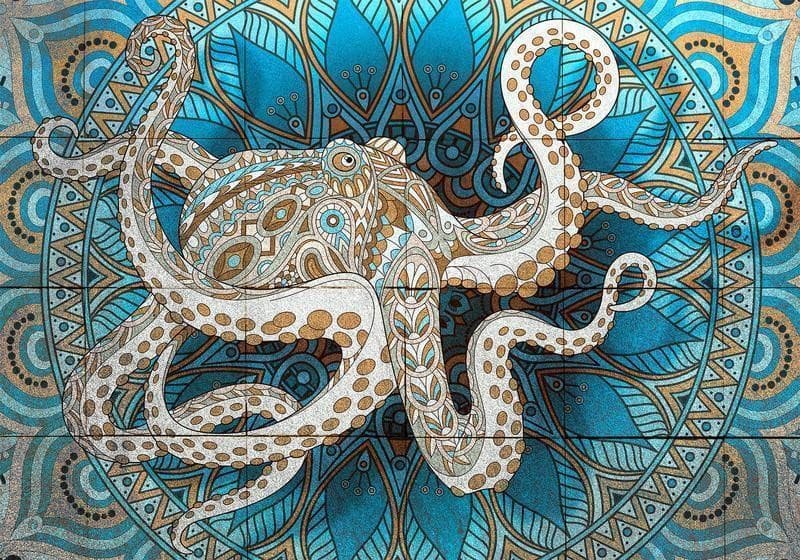 Fotomurale Zen Octopus in Carta da parati Collezione Casa - Trebisacce, commercioVirtuoso.it