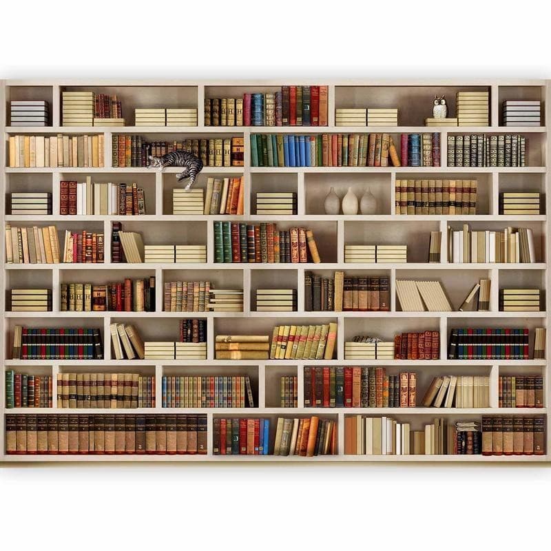 Fotomurale Biblioteca di casa in Carta da parati Collezione Casa - Trebisacce, commercioVirtuoso.it