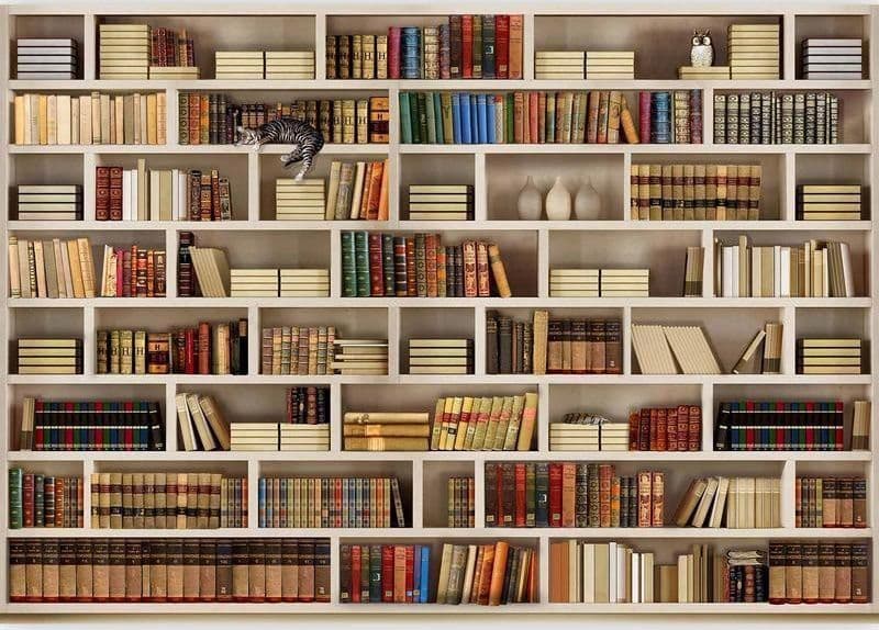 Fotomurale Biblioteca di casa in Carta da parati Collezione Casa - Trebisacce, commercioVirtuoso.it