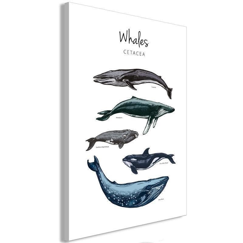 Quadro Whales (1 Part) Vertical in Poster e stampe Collezione Casa - Trebisacce, commercioVirtuoso.it