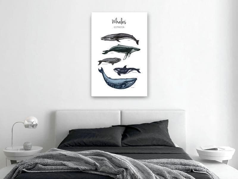 Quadro Whales (1 Part) Vertical in Poster e stampe Collezione Casa - Trebisacce, commercioVirtuoso.it