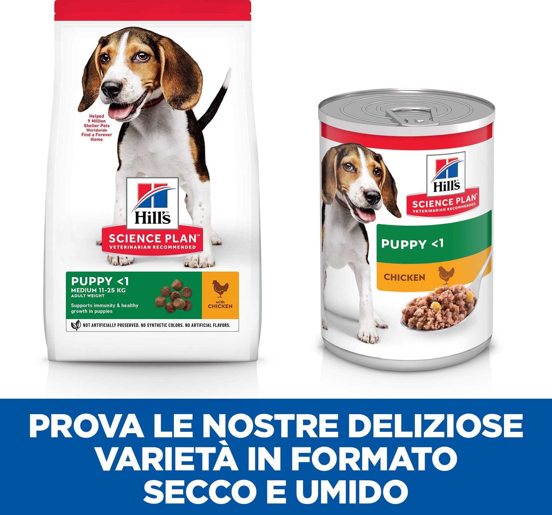 Hill's Mantenimento secco Cani Puppy Medium pollo in Secco 101 Market - Poggibonsi, commercioVirtuoso.it