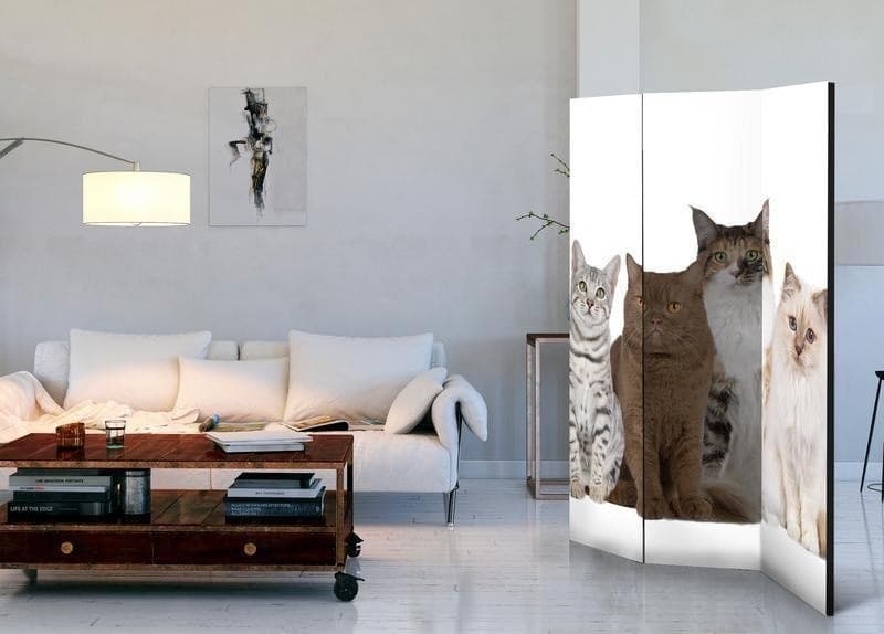 Paravento Sweet Cats [divisori da interno] in Paraventi Collezione Casa - Trebisacce, commercioVirtuoso.it