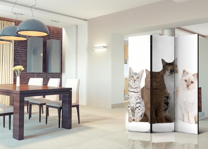 Paravento Sweet Cats [divisori da interno] in Paraventi Collezione Casa - Trebisacce, commercioVirtuoso.it