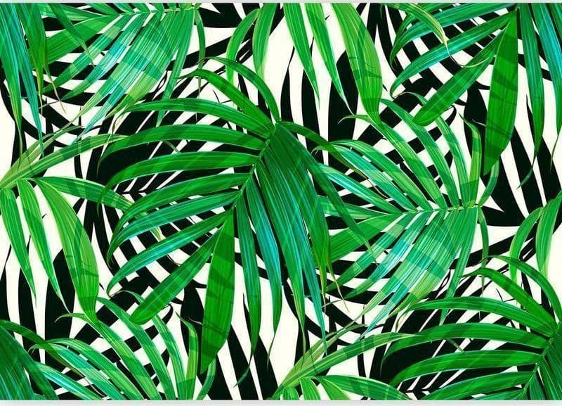 Fotomurale Tropical Leaves in Carta da parati Collezione Casa - Trebisacce, commercioVirtuoso.it