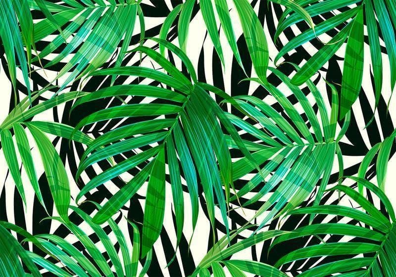 Fotomurale Tropical Leaves in Carta da parati Collezione Casa - Trebisacce, commercioVirtuoso.it
