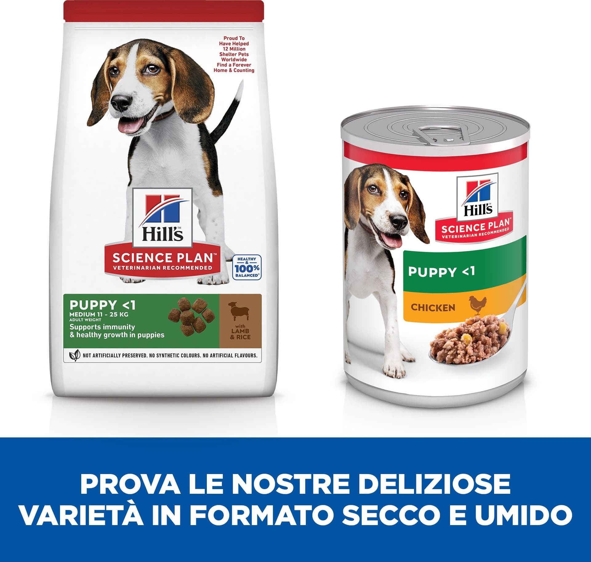Hill's Mantenimento secco Cani Puppy Medium agnello e riso in Secco 101 Market - Poggibonsi, commercioVirtuoso.it