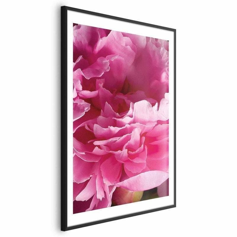 Poster - Beautiful Peonies in Poster e stampe Collezione Casa - Trebisacce, commercioVirtuoso.it