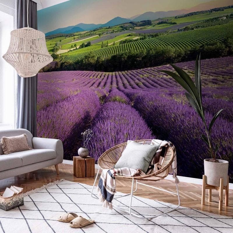 Fotomurale Lavender Field in Carta da parati Collezione Casa - Trebisacce, commercioVirtuoso.it