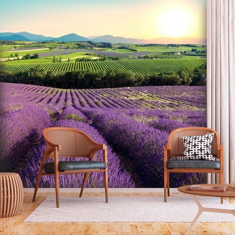 Fotomurale Lavender Field in Carta da parati Collezione Casa - Trebisacce, commercioVirtuoso.it