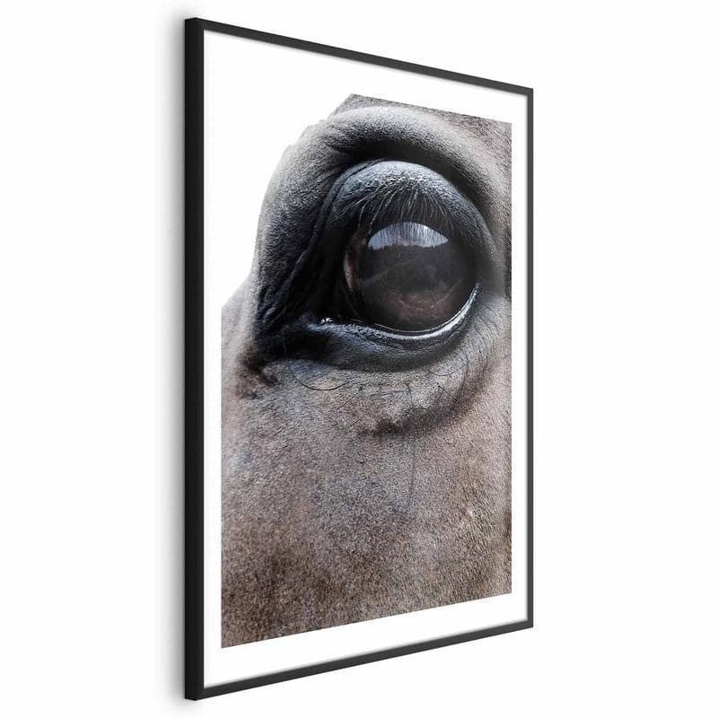 Poster - Honest Eyes in Poster e stampe Collezione Casa - Trebisacce, commercioVirtuoso.it