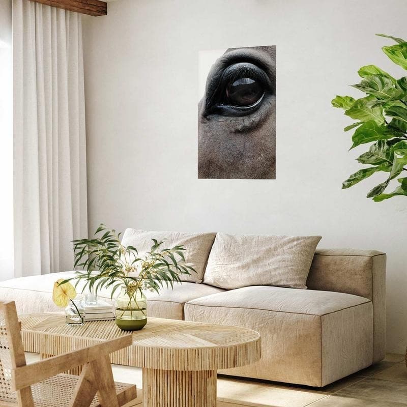 Poster - Honest Eyes in Poster e stampe Collezione Casa - Trebisacce, commercioVirtuoso.it