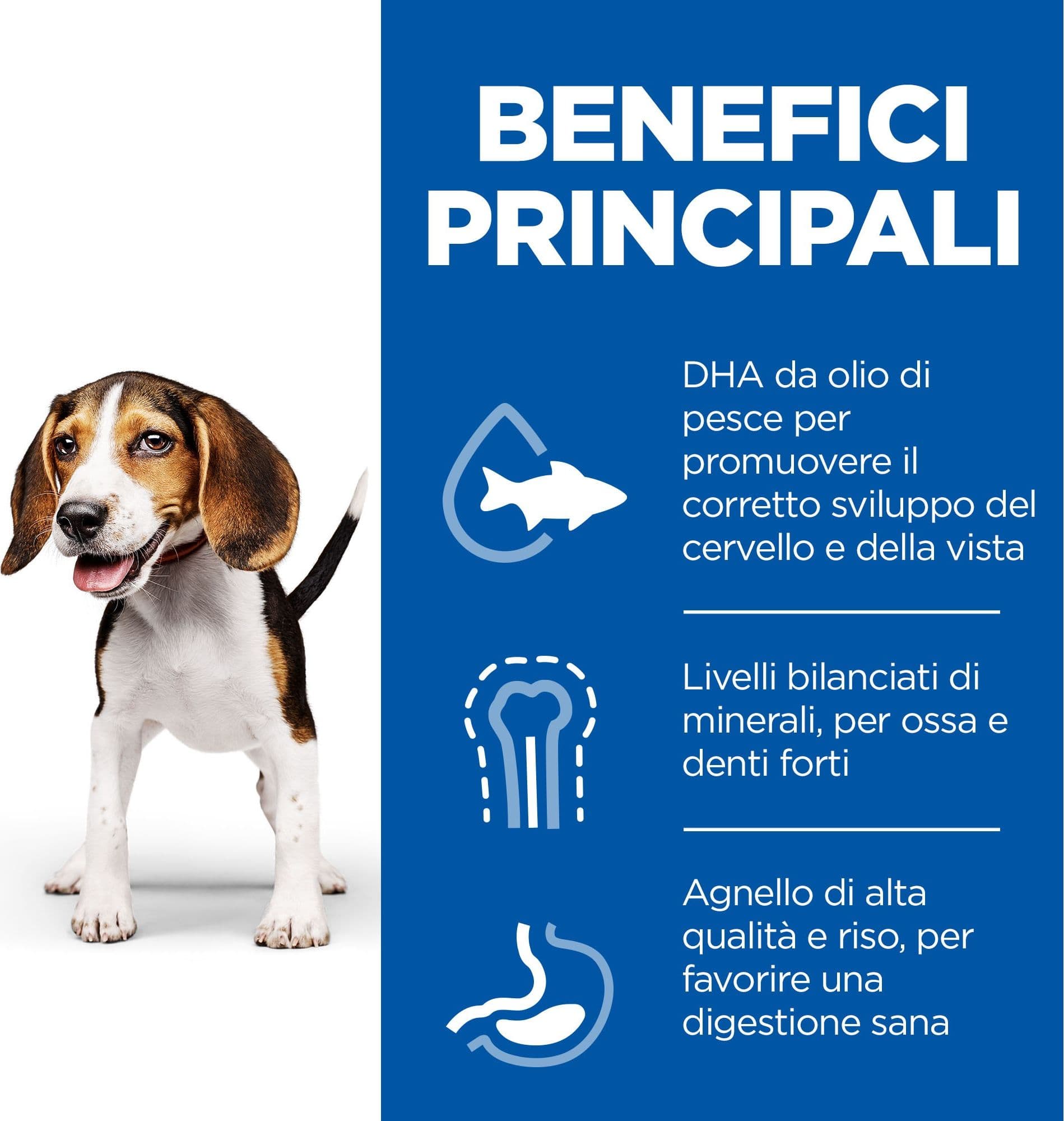Hill's Mantenimento secco Cani Puppy Medium agnello e riso in Secco 101 Market - Poggibonsi, commercioVirtuoso.it