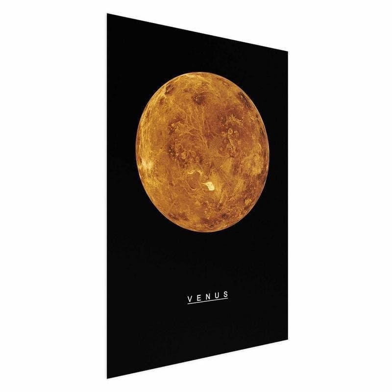 Poster - Venus in Poster e stampe Collezione Casa - Trebisacce, commercioVirtuoso.it