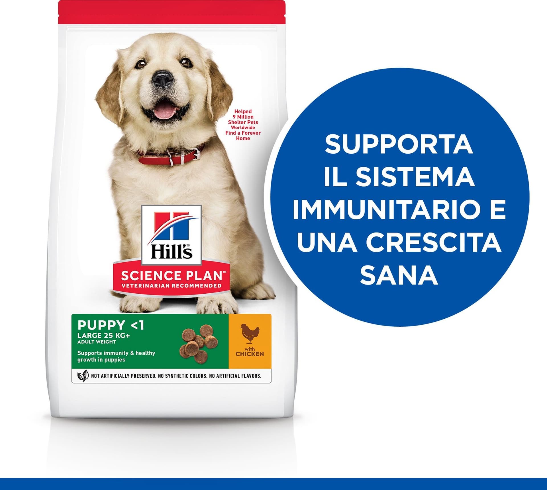 Hill's Mantenimento secco Cani Puppy Large pollo 12 kg in Secco 101 Market - Poggibonsi, commercioVirtuoso.it