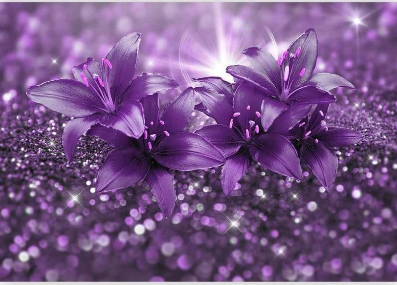 Fotomurale Masterpiece of Purple in Carta da parati Collezione Casa - Trebisacce, commercioVirtuoso.it