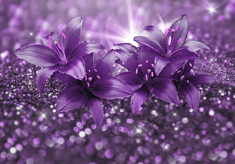Fotomurale Masterpiece of Purple in Carta da parati Collezione Casa - Trebisacce, commercioVirtuoso.it