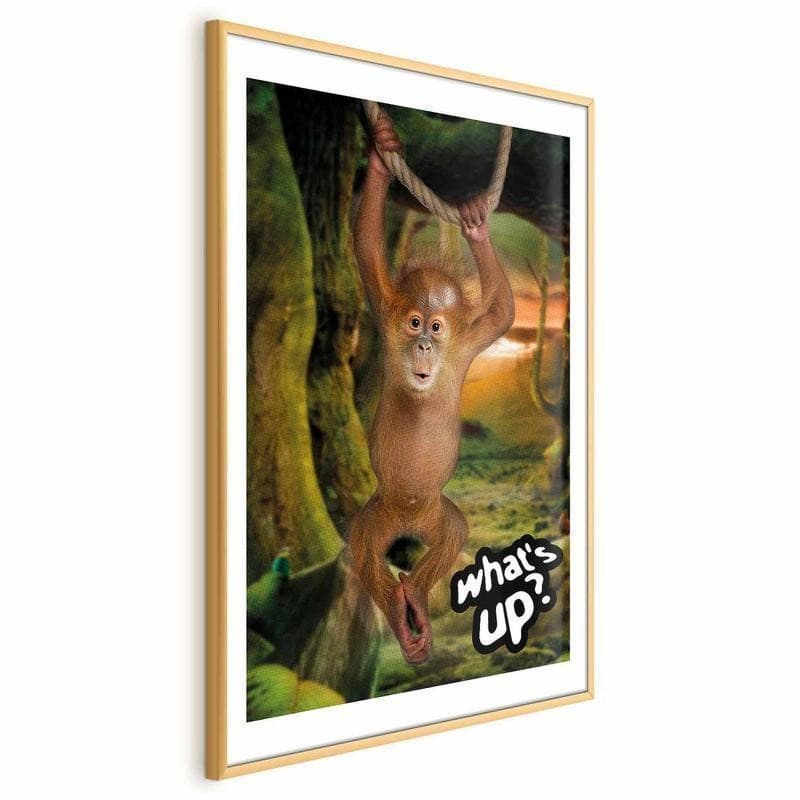 Poster - Whats Up? in Poster e stampe Collezione Casa - Trebisacce, commercioVirtuoso.it