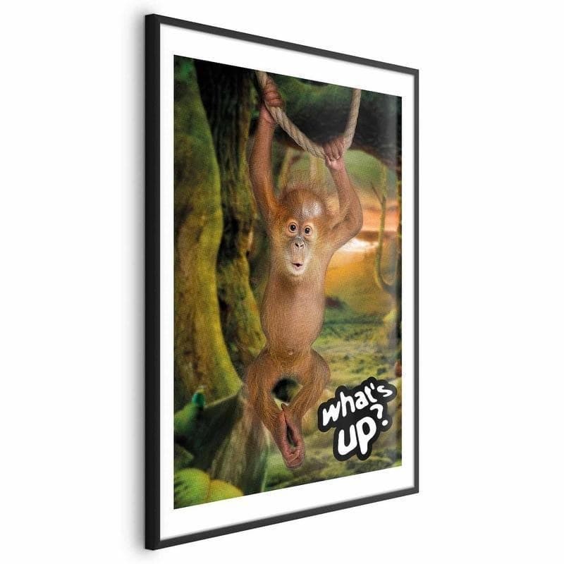 Poster - Whats Up? in Poster e stampe Collezione Casa - Trebisacce, commercioVirtuoso.it